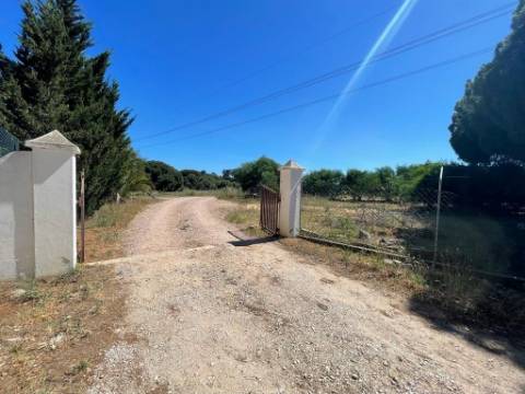 Terreno Rústico  Venda em Quarteira,Loulé
