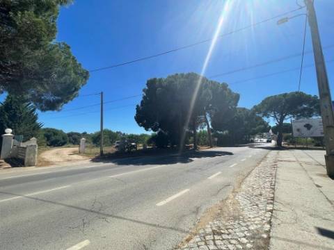 Terreno Rústico  Venda em Quarteira,Loulé