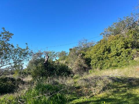Terreno Para Construção  Venda em Santa Bárbara de Nexe,Faro