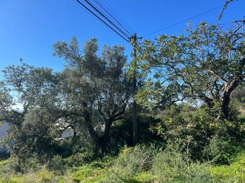 Terreno Para Construção  Venda em Santa Bárbara de Nexe,Faro