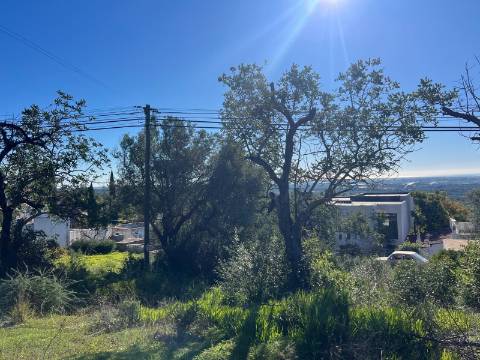 Terreno Para Construção  Venda em Santa Bárbara de Nexe,Faro