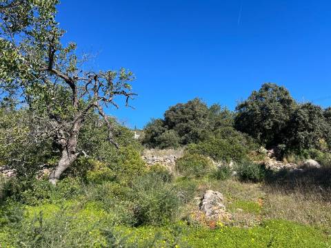Terreno Para Construção  Venda em Santa Bárbara de Nexe,Faro