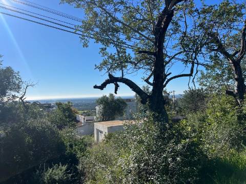 Terreno Para Construção  Venda em Santa Bárbara de Nexe,Faro