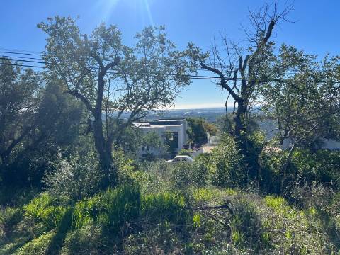 Terreno Para Construção  Venda em Santa Bárbara de Nexe,Faro