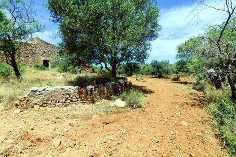 Moradia Rústica  Venda em Boliqueime,Loulé