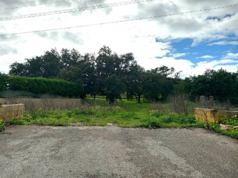 Terreno Rústico  Venda em Almancil,Loulé