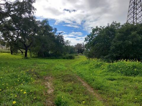 Terreno Rústico  Venda em Almancil,Loulé