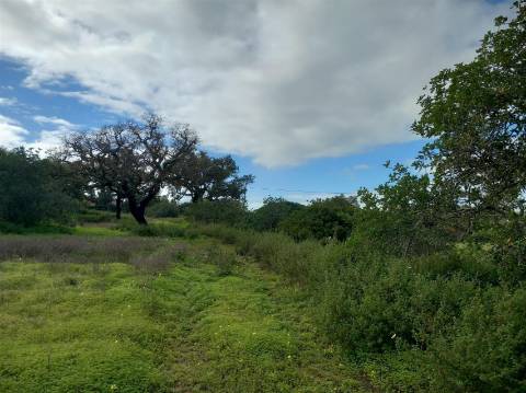 Terreno Rústico  Venda em Almancil,Loulé