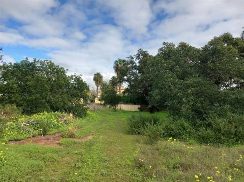 Terreno Rústico  Venda em Almancil,Loulé