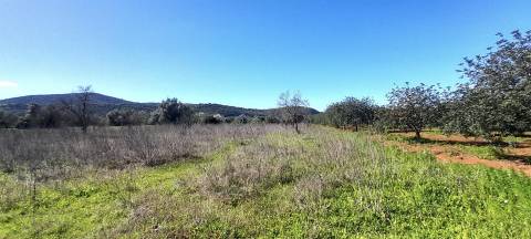 Terreno Rústico  Venda em Loulé (São Sebastião),Loulé