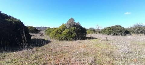 Terreno Rústico  Venda em Loulé (São Sebastião),Loulé
