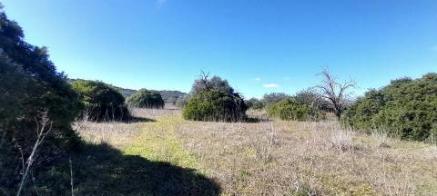 Terreno Rústico  Venda em Loulé (São Sebastião),Loulé