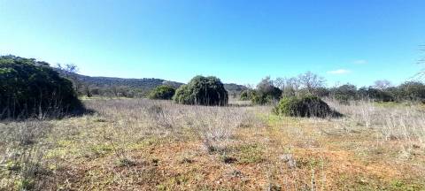 Terreno Rústico  Venda em Loulé (São Sebastião),Loulé