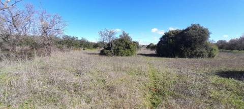Terreno Rústico  Venda em Loulé (São Sebastião),Loulé