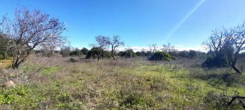 Terreno Rústico  Venda em Loulé (São Sebastião),Loulé