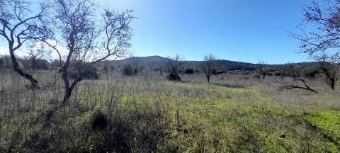 Terreno Rústico  Venda em Loulé (São Sebastião),Loulé