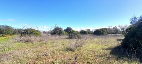 Terreno Rústico  Venda em Loulé (São Sebastião),Loulé