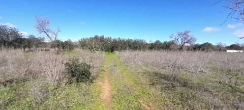 Terreno Rústico  Venda em Loulé (São Sebastião),Loulé