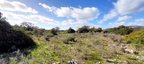Terreno Rústico  Venda em Loulé (São Clemente),Loulé