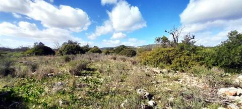 Terreno Rústico  Venda em Loulé (São Clemente),Loulé