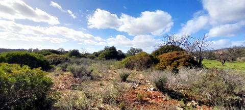 Terreno Rústico  Venda em Loulé (São Clemente),Loulé