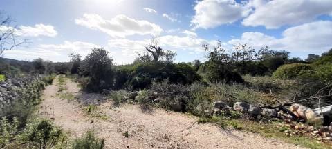 Terreno Rústico  Venda em Loulé (São Clemente),Loulé