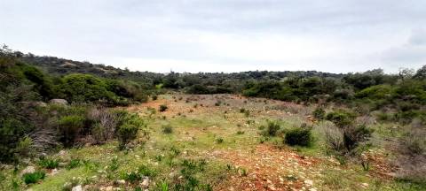 Terreno Rústico  Venda em Boliqueime,Loulé