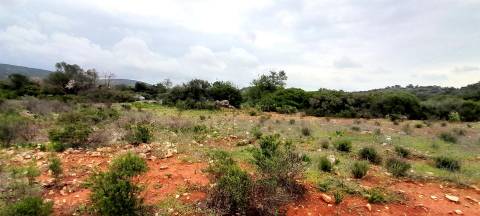 Terreno Rústico  Venda em Boliqueime,Loulé
