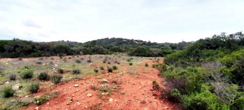 Terreno Rústico  Venda em Boliqueime,Loulé