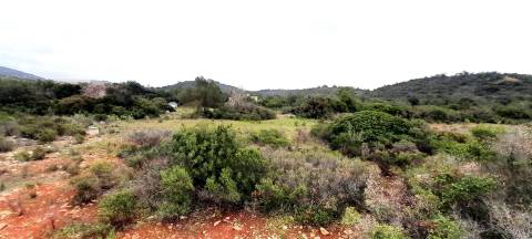 Terreno Rústico  Venda em Boliqueime,Loulé