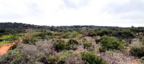 Terreno Rústico  Venda em Boliqueime,Loulé