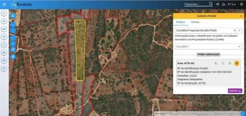 Terreno Rústico  Venda em Boliqueime,Loulé