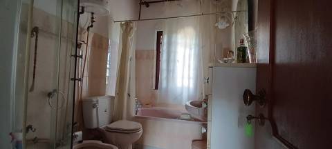 Moradia Isolada T5 Venda em Faro (Sé e São Pedro),Faro