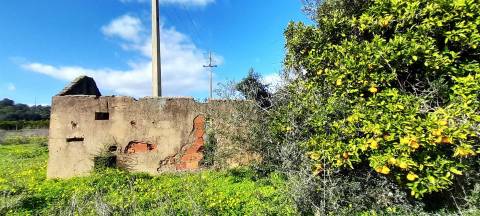 Terreno Rústico  Venda em Boliqueime,Loulé