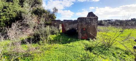 Terreno Rústico  Venda em Boliqueime,Loulé