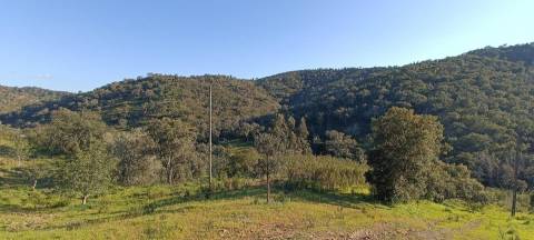Terreno Rústico  Venda em São Bartolomeu de Messines,Silves