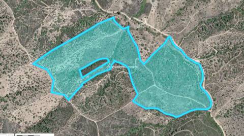 Terreno Rústico  Venda em São Bartolomeu de Messines,Silves