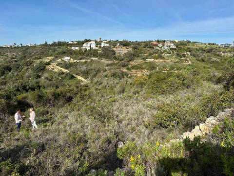 Terreno Rústico  Venda em Loulé (São Sebastião),Loulé