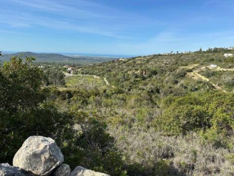 Terreno Rústico  Venda em Loulé (São Sebastião),Loulé