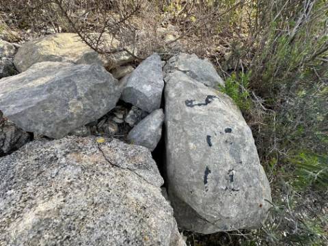Terreno Rústico  Venda em Loulé (São Sebastião),Loulé