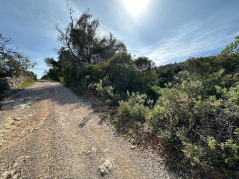 Terreno Rústico  Venda em Loulé (São Sebastião),Loulé