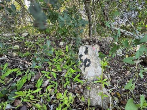 Terreno Rústico  Venda em Loulé (São Sebastião),Loulé