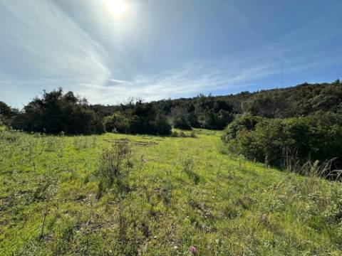 Terreno Rústico  Venda em Loulé (São Sebastião),Loulé