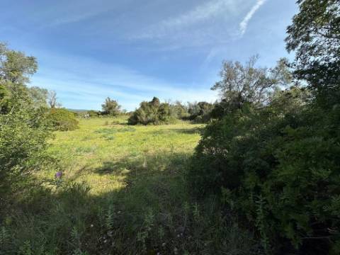 Terreno Rústico  Venda em Loulé (São Sebastião),Loulé