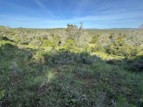 Terreno Rústico  Venda em Loulé (São Sebastião),Loulé