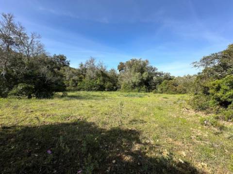 Terreno Rústico  Venda em Loulé (São Sebastião),Loulé