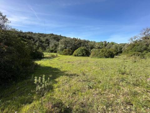 Terreno Rústico  Venda em Loulé (São Sebastião),Loulé
