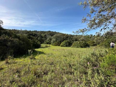 Terreno Rústico  Venda em Loulé (São Sebastião),Loulé
