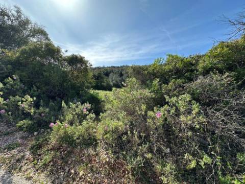 Terreno Rústico  Venda em Loulé (São Sebastião),Loulé