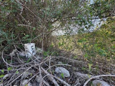 Terreno Rústico  Venda em Loulé (São Sebastião),Loulé
